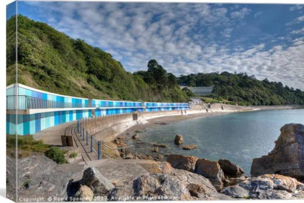 **Sunny And Bright, Thatchers Rock One Bed Beach Front Apartment*** Torquay Exterior foto